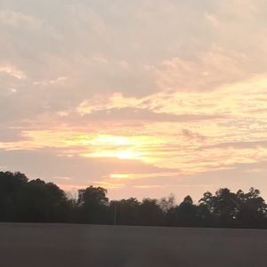 Meet your Posher, Ava